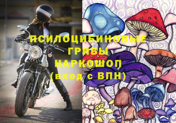 дмт Магадан