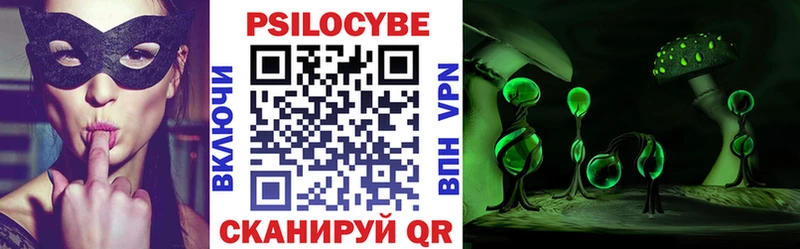 Галлюциногенные грибы Cubensis  Купить  Духовщина 